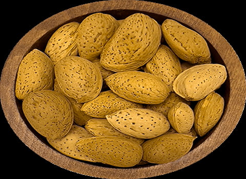 بادام درختی تازه درشت با پوست ارسال عمده